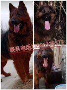 六安市叶集哪里有